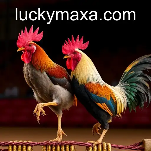 VIP Service luckymax.ph - 24/7 Support and Exclusive Benefits